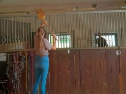 whatsapp image 2024-07-14 at 16.11.05_a3727893